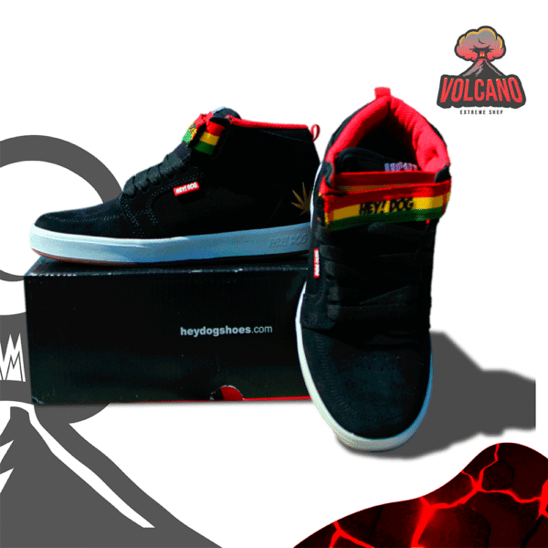 Tenis Hey Dog k nine "Rasta"