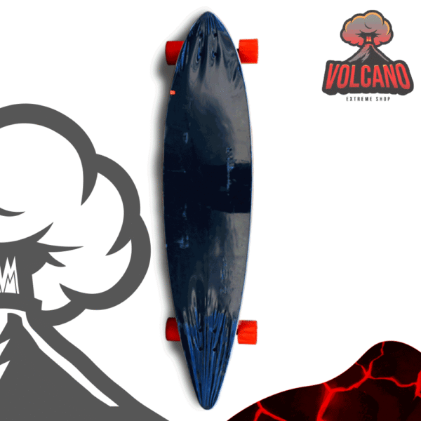 Cruising Longboard Fish